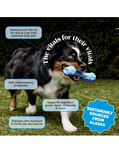 Suplemento Aceite de Pescado Omega 3 Pet Honesty 473ml