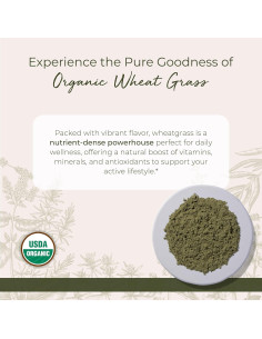 Polvo de pasto de trigo orgánico Starwest Botanicals 0.45 kg 2