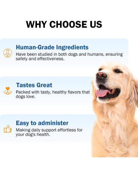 Suplemento de Zinc para Perros PKperekond - Salud Cardíaca y Piel