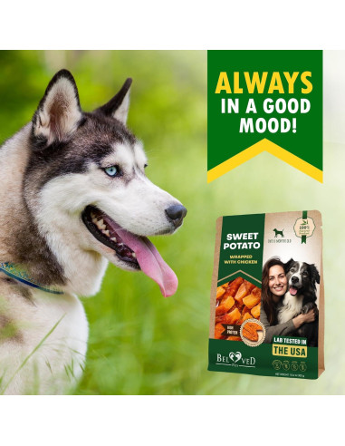 Galletas Masticables para Perros Mascotas Queridas 320g Pollo y Batata