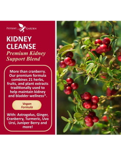 Suplemento Vegano de Soporte para Riñones Potent Garden - 60 Cápsulas 2