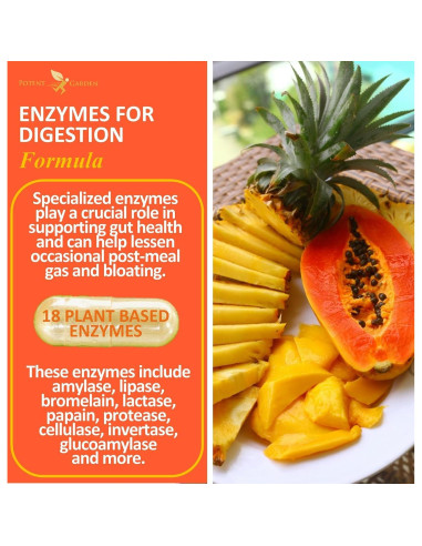 Enzimas Digestivas Potent Garden - 60 Cápsulas de 18 Enzimas Naturales