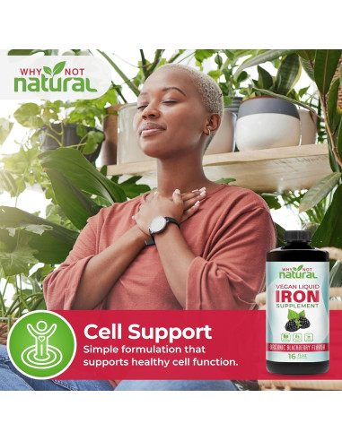 Suplemento de Hierro Líquido Vegano Why Not 473 ml para Anemia