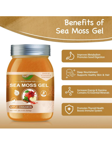 Gel Crudo de Musgo Marino QANLOI 525g Sabor Manzana Canela