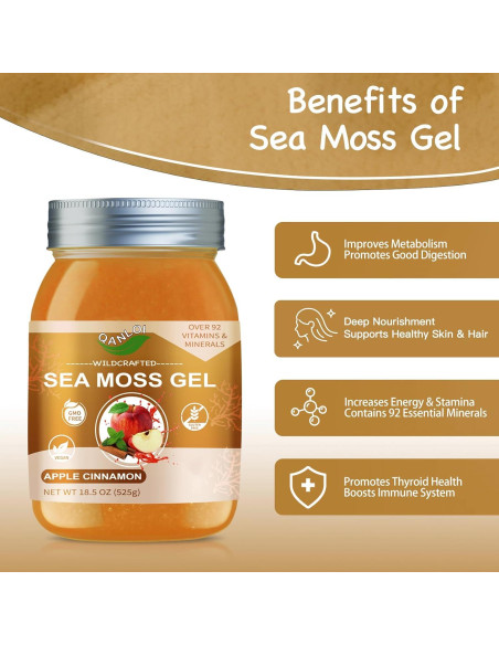 Gel Crudo de Musgo Marino QANLOI 525g Sabor Manzana Canela