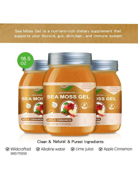 Gel Crudo de Musgo Marino QANLOI 525g Sabor Manzana Canela