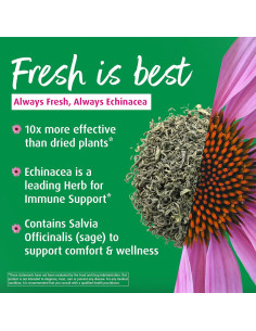 A. Vogel Echinaforce Spray 29.57 ml - Alivio Garganta Natural 2