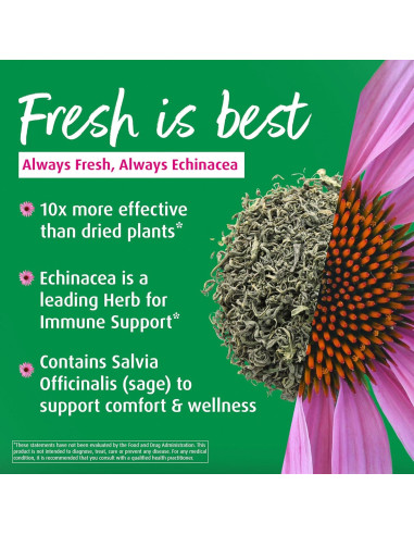 A. Vogel Echinaforce Spray 29.57 ml - Alivio Garganta Natural