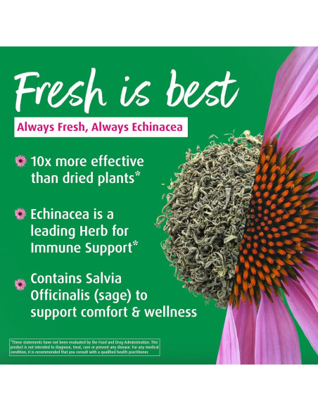 A. Vogel Echinaforce Spray 29.57 ml - Alivio Garganta Natural