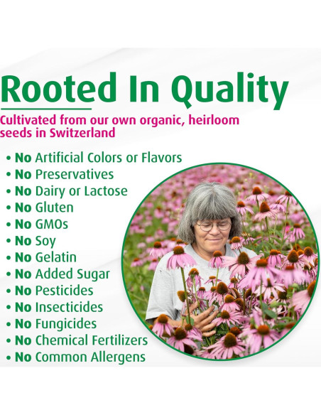 A. Vogel Echinaforce Spray 29.57 ml - Alivio Garganta Natural