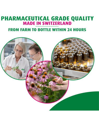 A. Vogel Echinaforce Spray 29.57 ml - Alivio Garganta Natural