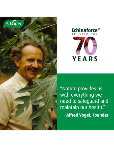 A. Vogel Echinaforce Spray 29.57 ml - Alivio Garganta Natural