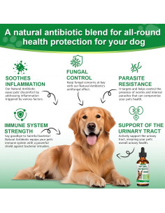 Antibiótico Natural para Perros RUAKPL 60ml - Suplemento Inmunológico 2