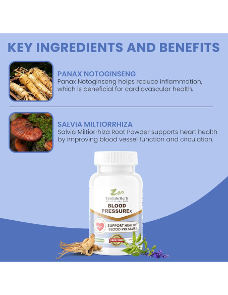 Suplemento Herbal ZenLife Herb Blood PressuREx 60 Cápsulas