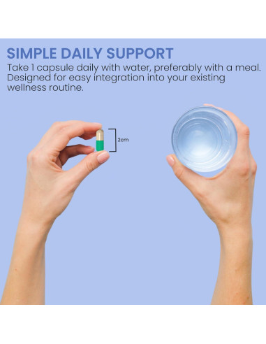 Suplemento Herbal ZenLife Herb Blood PressuREx 60 Cápsulas