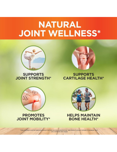 Suplemento Articular Vitalize Life - Glucosamina, Cóndroitina y Cúrcuma - 60 Cápsulas Vegetales