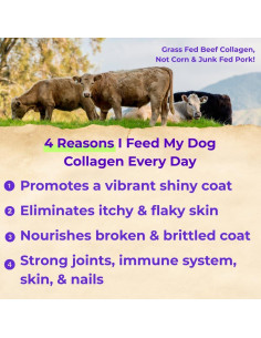 Colágeno Líquido Premium Back 40 Dogs para Perros 256g 2