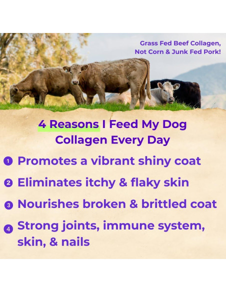 Colágeno Líquido Premium Back 40 Dogs para Perros 256g