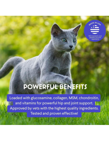 Glucosamina Líquida Wonder Paws para Gatos 56.7g - Articulaciones