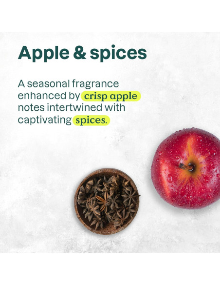 Jabón Líquido para Manos ATTITUDE 473 ml Manzana y Especias