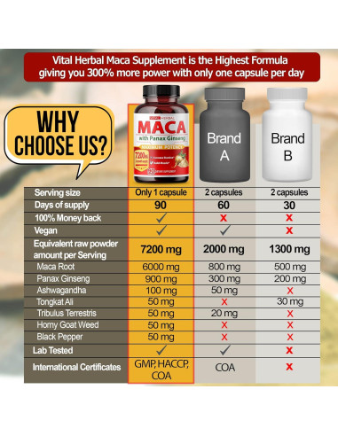 Complejo Herbal Vital Herbal 7 en 1 - Raíz de Maca, Ashwagandha, Ginseng - 90 Días