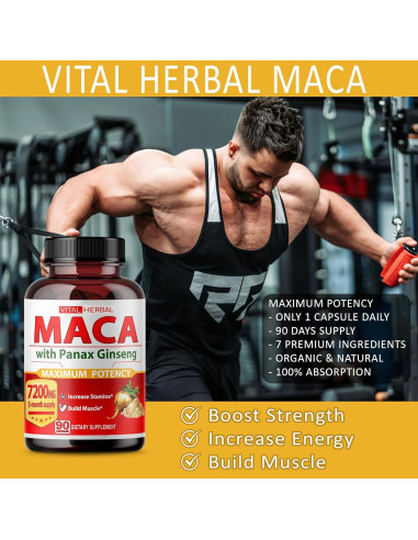 Complejo Herbal Vital Herbal 7 en 1 - Raíz de Maca, Ashwagandha, Ginseng - 90 Días