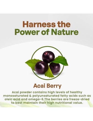 Polvo de Acai Orgánico Liofilizado Go Nutra 450g - Superalimento