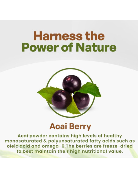 Polvo de Acai Orgánico Liofilizado Go Nutra 450g - Superalimento