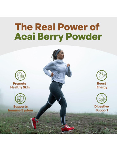 Polvo de Acai Orgánico Liofilizado Go Nutra 450g - Superalimento