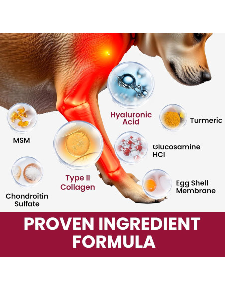Suplemento Líquido para Perros BuddyCheer 60ml - Glucosamina y Colágeno