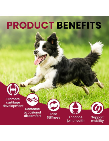 Suplemento Líquido para Perros BuddyCheer 60ml - Glucosamina y Colágeno