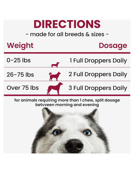 Suplemento Líquido para Perros BuddyCheer 60ml - Glucosamina y Colágeno