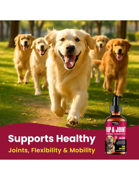 Suplemento Líquido para Perros BuddyCheer 60ml - Glucosamina y Colágeno