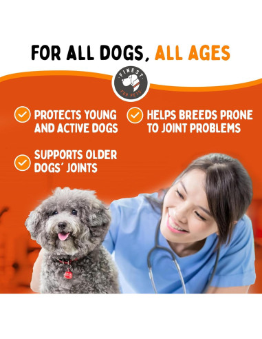 Suplemento Líquido Glucosamina Finest for Pets 453g Articulaciones