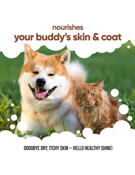 Aceite de Semilla de Lino Buddycare 500 ml - Suplemento para Perros