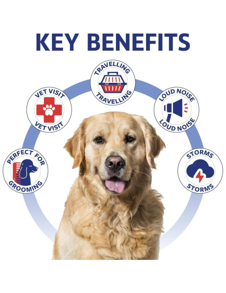 Masticables Calmantes para Perros Kinpur - 120 ct - Salud Articulaciones