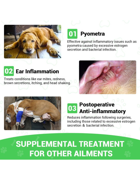 Cardo Mariano ProFluffyBio para Perros 56.7 g - Soporte Hepático