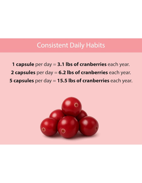 Cápsulas de Arándano Orgánico KOYAH 500 mg - 60 Unidades