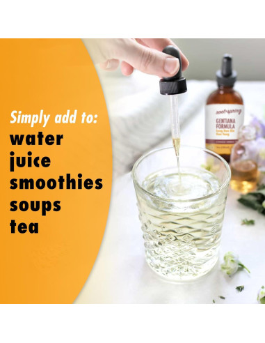 Fórmula Gentiana Long Dan Xie Gan Tang 30 ml - Suplemento Herbal