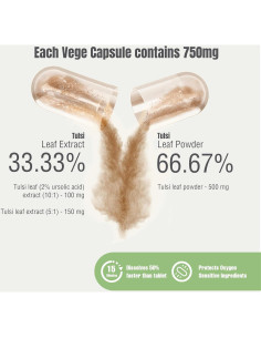 Cápsulas de Tulsi Albahaca Sagrada HerbsForever 60 Unidades 800 mg 2