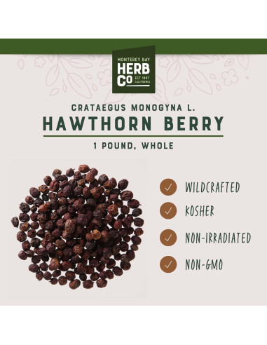 Bayas de Espino Enteras Monterey Bay Herb Co 0.45kg
