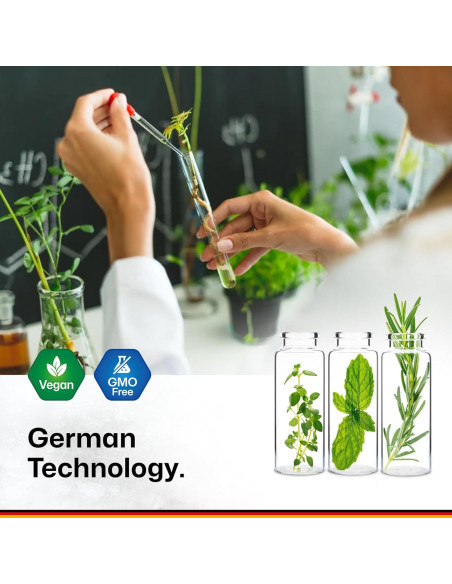 Gominolas Veganas BioKrauter Ginkgo Biloba 90 Unidades 120 mg