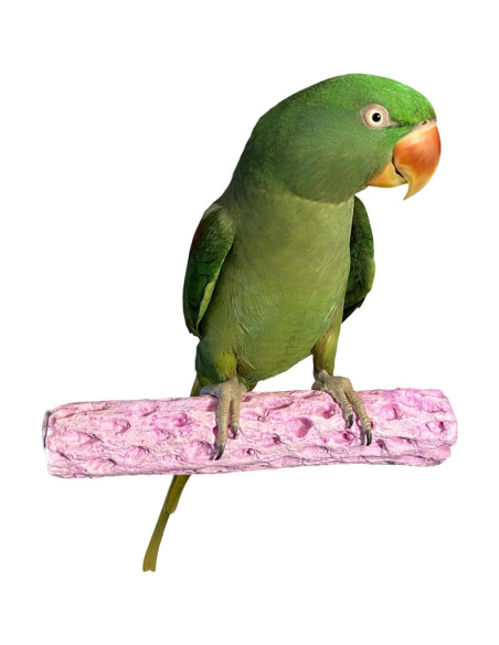 Perchero Comestible Polly's Tooty Fruity Mediano Uva