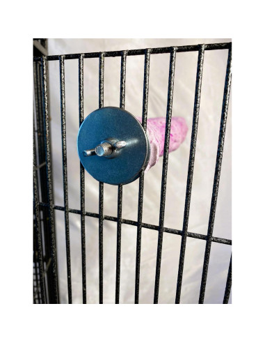 Perchero Comestible Polly's Tooty Fruity Mediano Uva