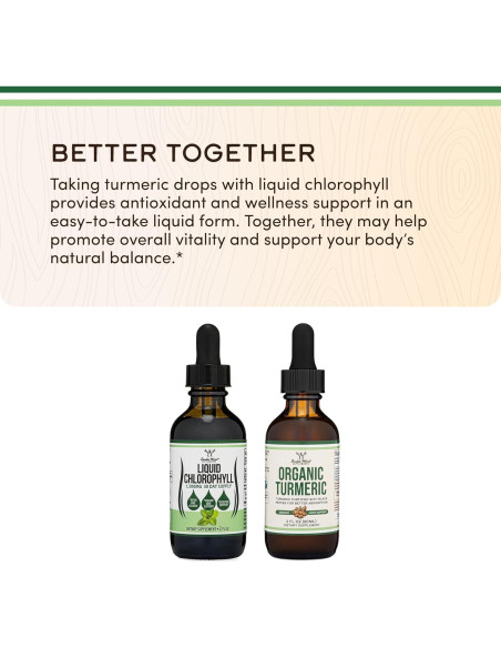 Gotas Líquidas de Clorofila Double Wood 60ml Sabor Menta