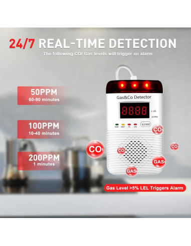 Detector de Gas y Monóxido de Carbono DOUSHIQIAN 2 en 1