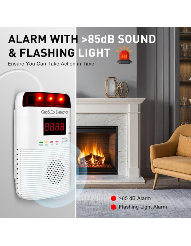Detector de Gas y Monóxido de Carbono DOUSHIQIAN 2 en 1