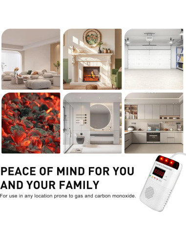 Detector de Gas y Monóxido de Carbono DOUSHIQIAN 2 en 1