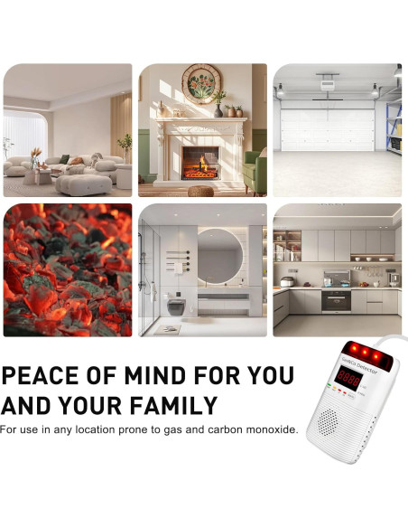 Detector de Gas y Monóxido de Carbono DOUSHIQIAN 2 en 1