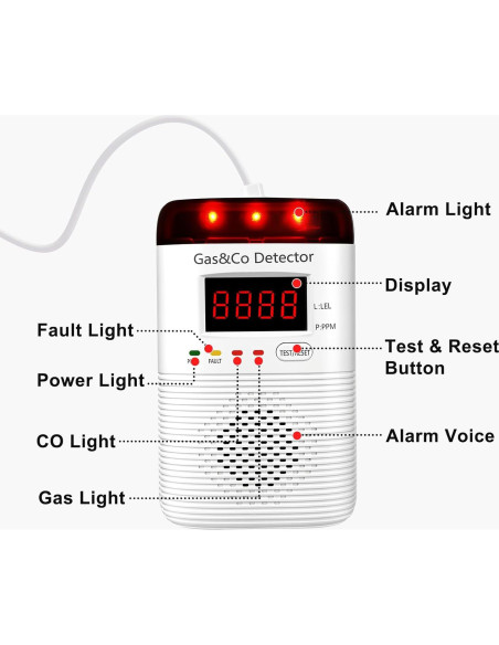 Detector de Gas y Monóxido de Carbono DOUSHIQIAN 2 en 1